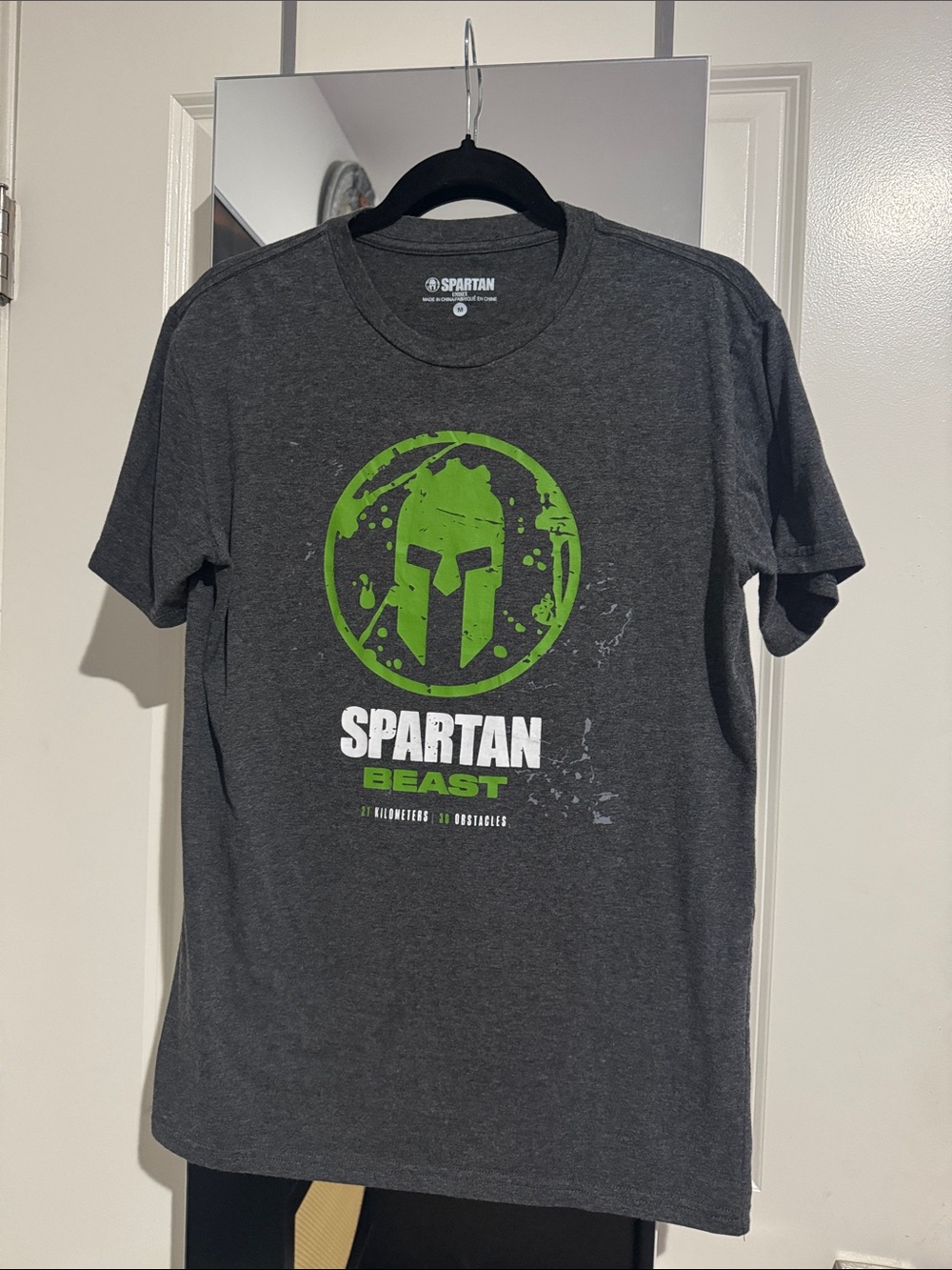Spartan Beast Men's Gray Graphic Tee - Green Logo